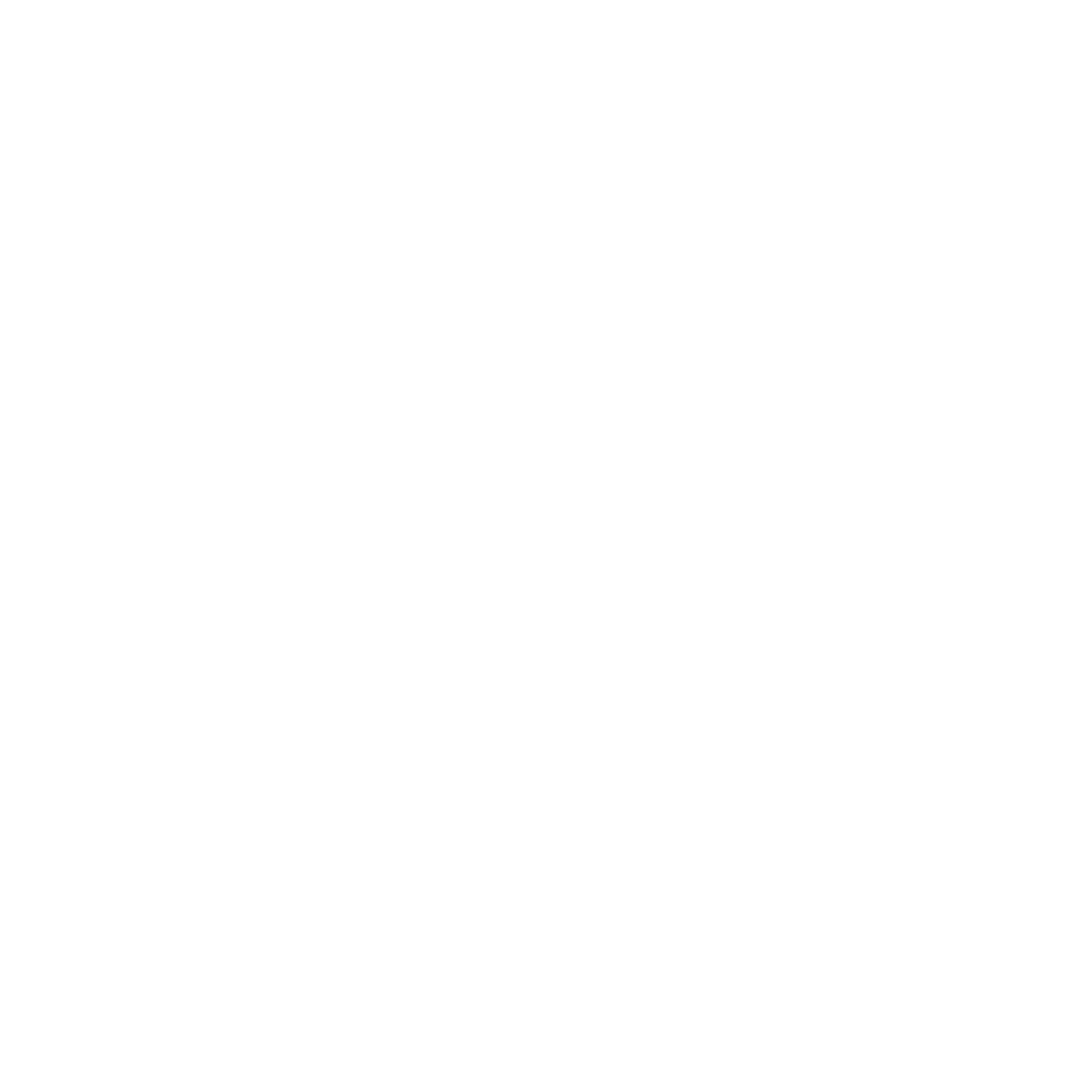 Pista Negra