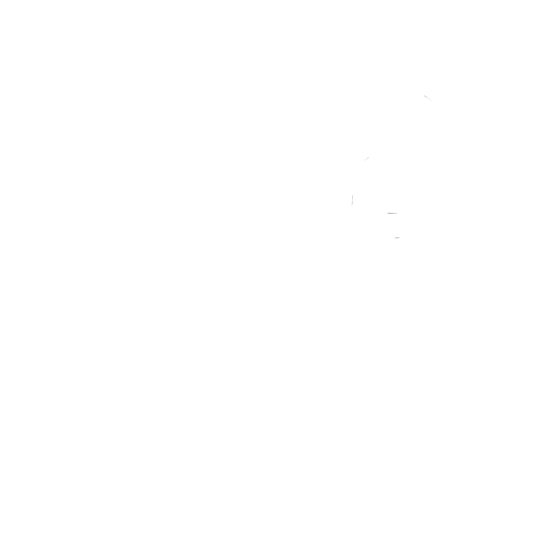 NoLimits Collective 360
